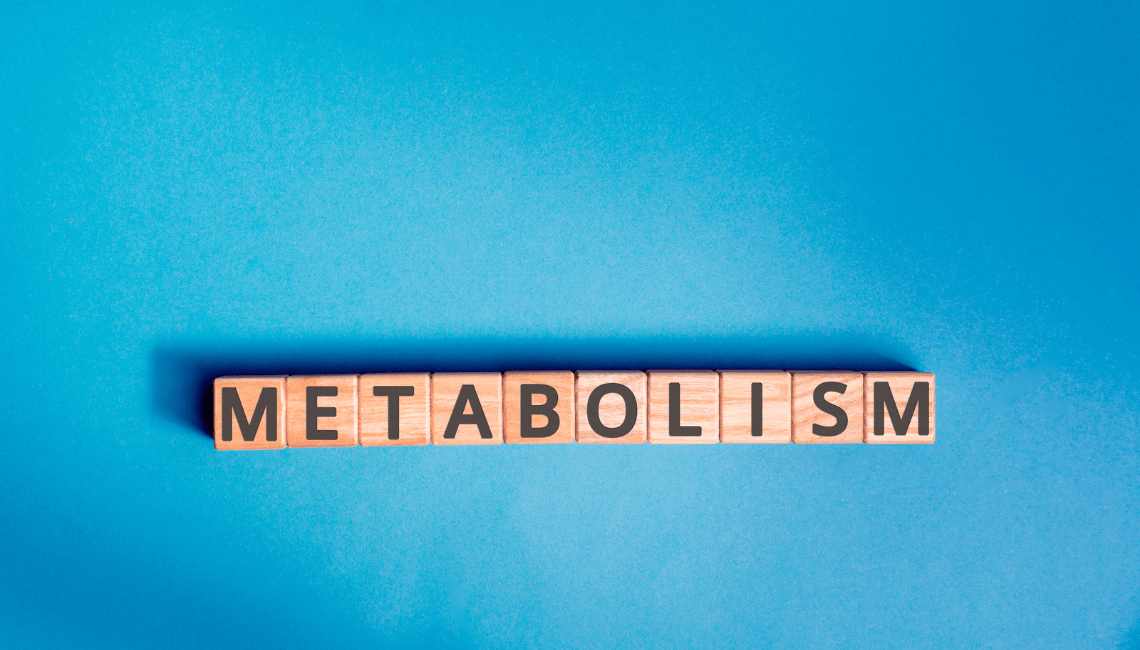 metabolismo